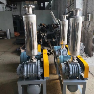 不銹鋼羅茨風機